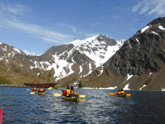 Dia incrível e paisagem fantástica para remar em Ocean Harbour, na Geórgia do Sul